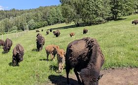 Caldisfarm Bison Lodge I Rustikale Und Grosszuegige Ferienwohnung